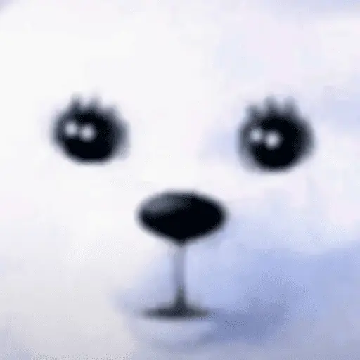 hamster