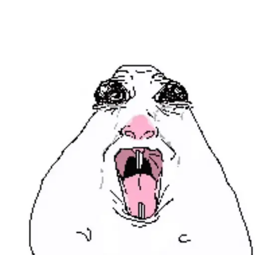 hamster