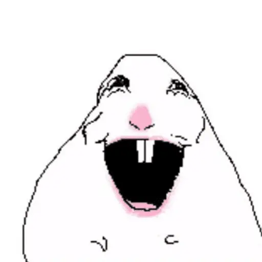 hamster