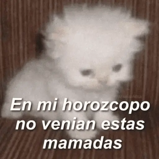 🥳 RAMDOM CONTESTABLES 😎