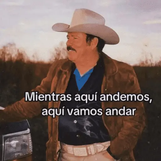 🥳 RAMDOM CONTESTABLES 😎