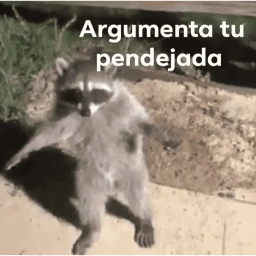 🥳 RAMDOM CONTESTABLES 😎