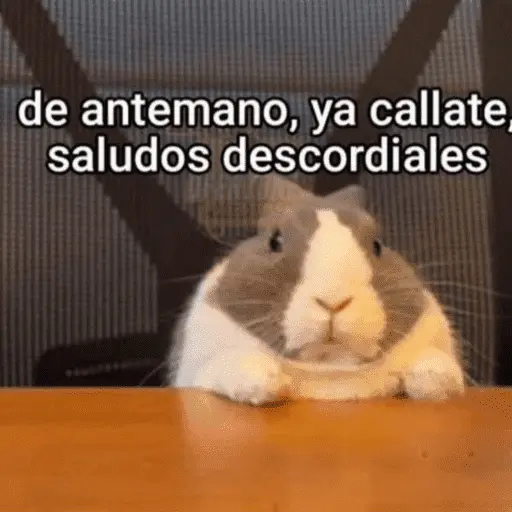 🥳 RAMDOM CONTESTABLES 😎