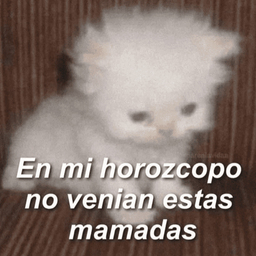 🥳 RAMDOM CONTESTABLES 😎 preview