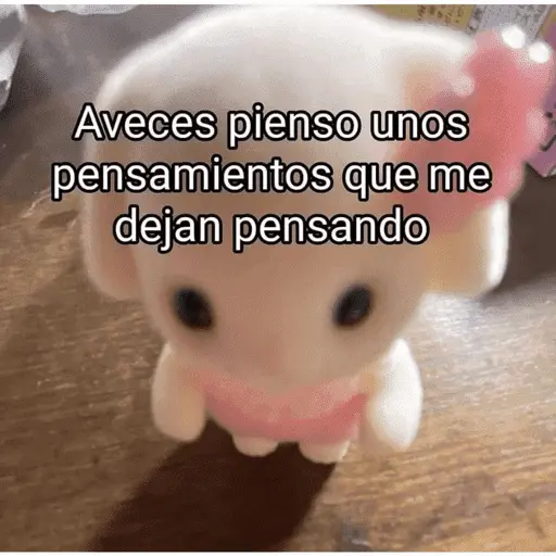 🥳 RAMDOM CONTESTABLES 😎