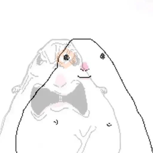 🐹 Hamster Tiktok 5📱