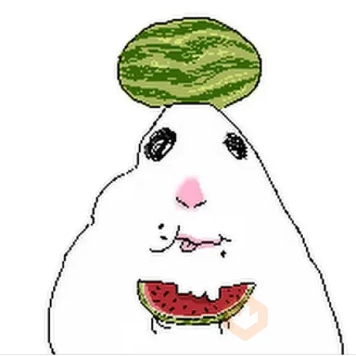 🐹 Hamster Tiktok 5📱