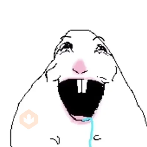 🐹 Hamster Tiktok 5📱
