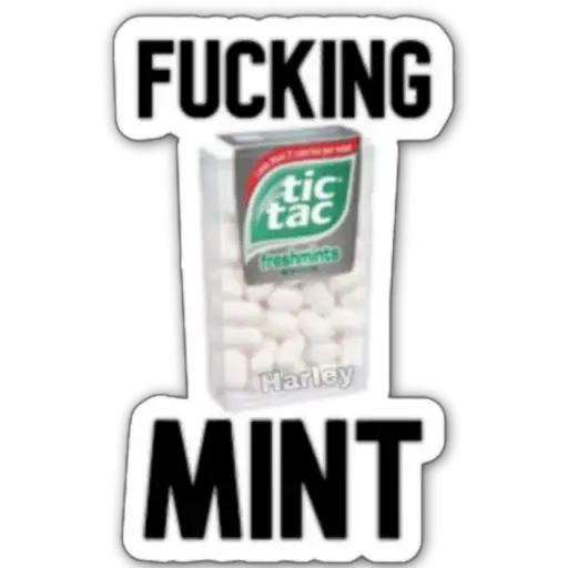 FuCking MiNt Challenger 😂🤣 
