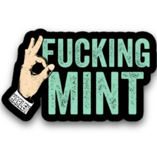FuCking MiNt Challenger 😂🤣 