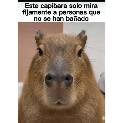 PALABRAS