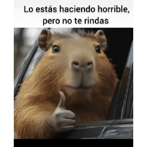PALABRAS