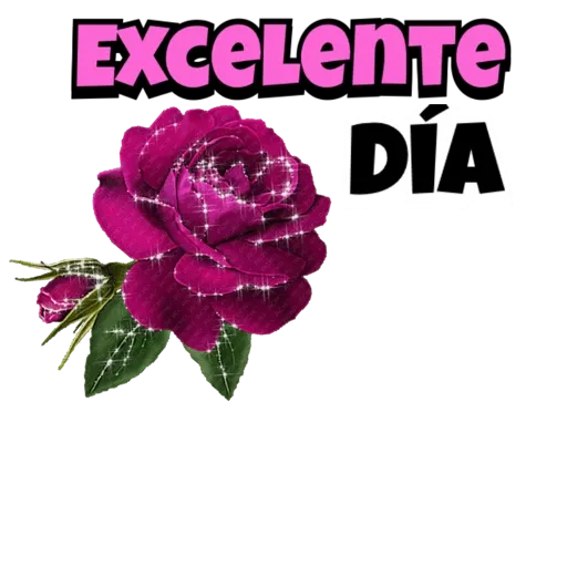 SALUDOS de Buenos Días🌈🌸