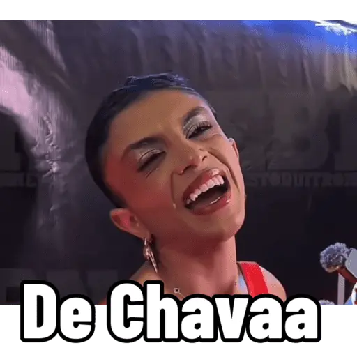 Mis pegatinas