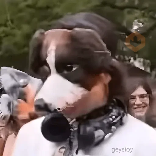 Therians 2 👀Therian meme 2😹