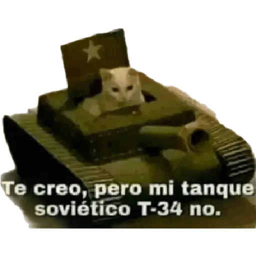 mi ciela