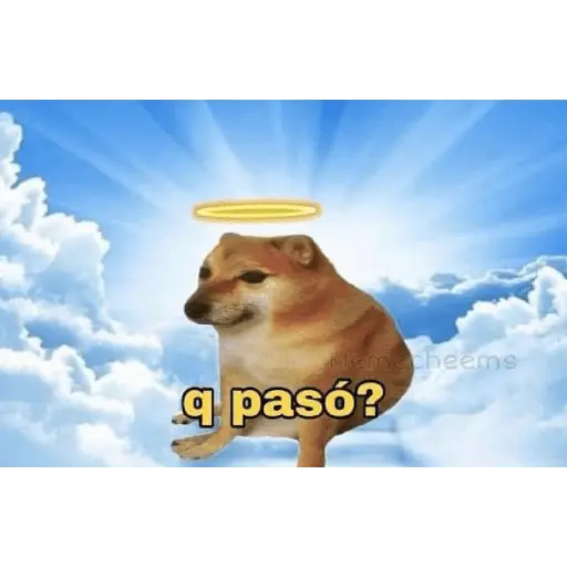 mi ciela