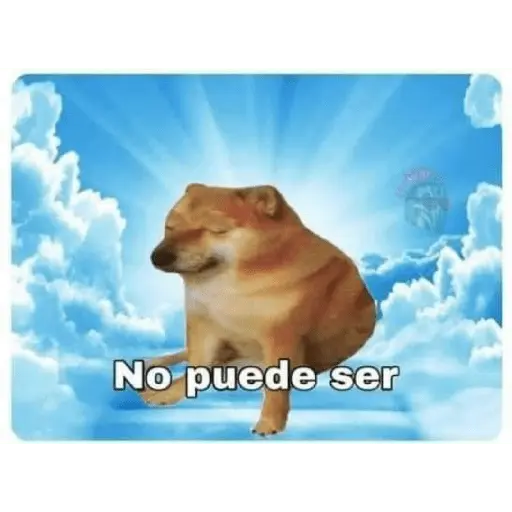 mi ciela