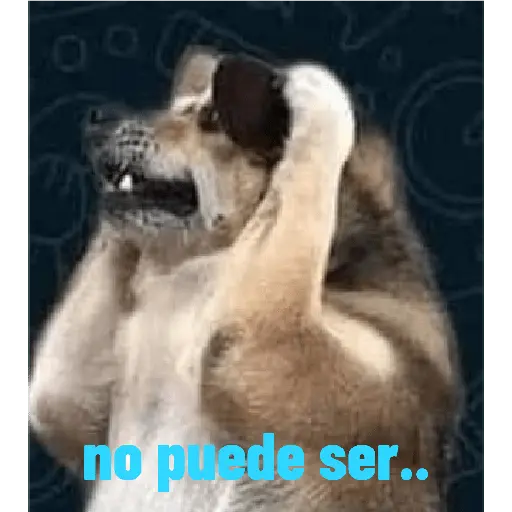 mi ciela