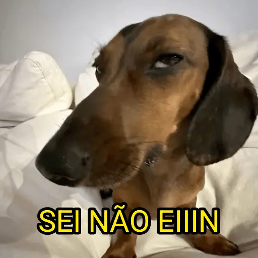 cachorros que todos amam