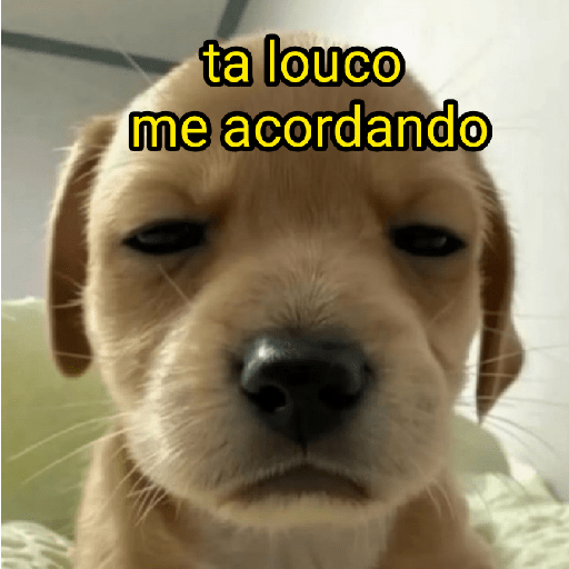 cachorros que todos amam preview