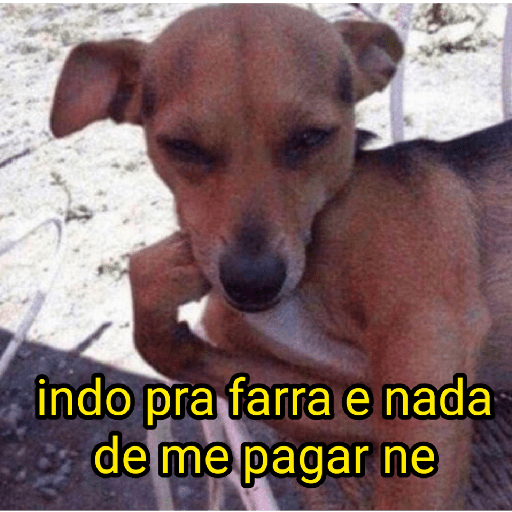 cachorros que todos amam preview