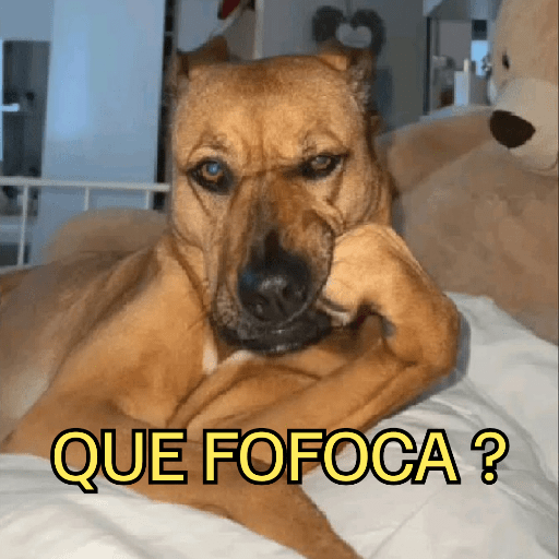 cachorros que todos amam preview