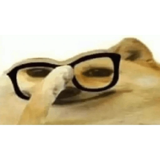 Telugu templates