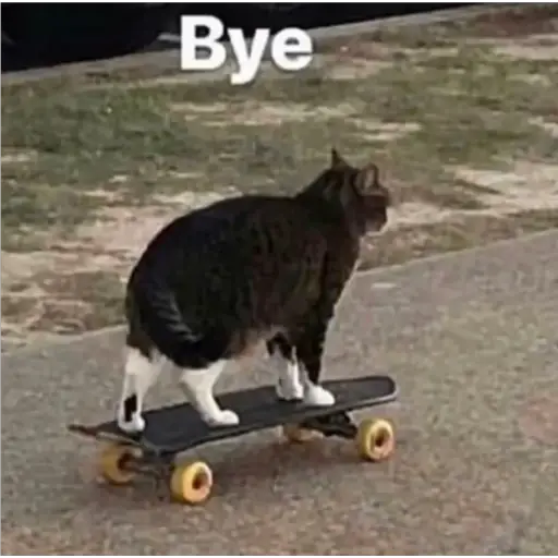 Memes Mia >:3 