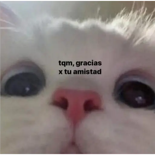 Memes Mia >:3 