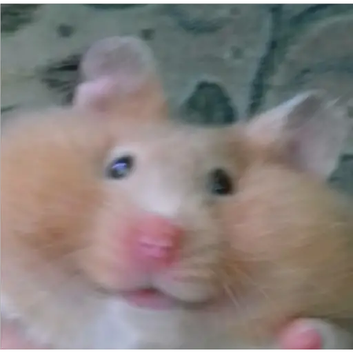 Memes Mia >:3 