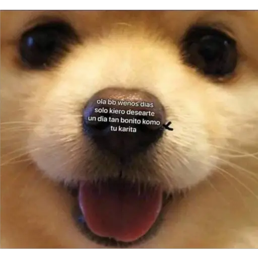 Memes Mia >:3  preview