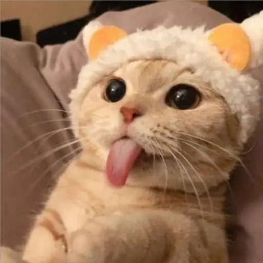Memes Mia >:3 