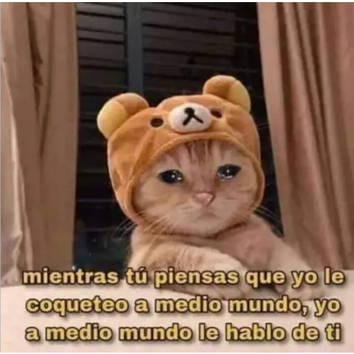 Memes Mia >:3 