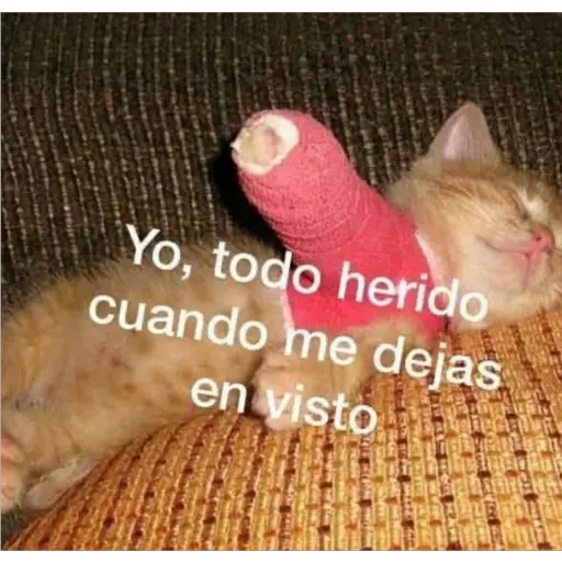 Memes Mia >:3 