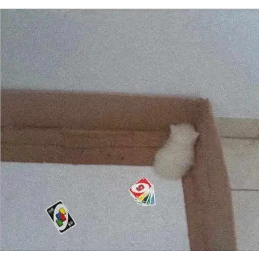 Memes Mia >:3 