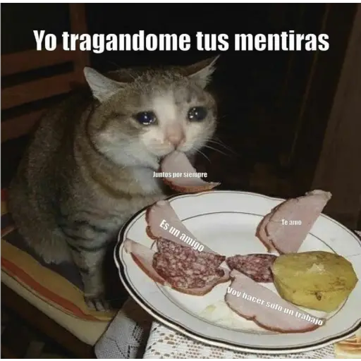 Memes Mia >:3 