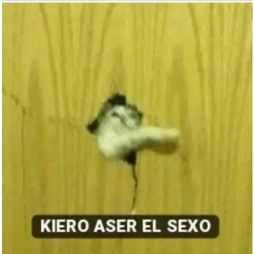 Memes Mia >:3 