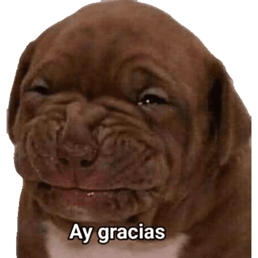 CHEC