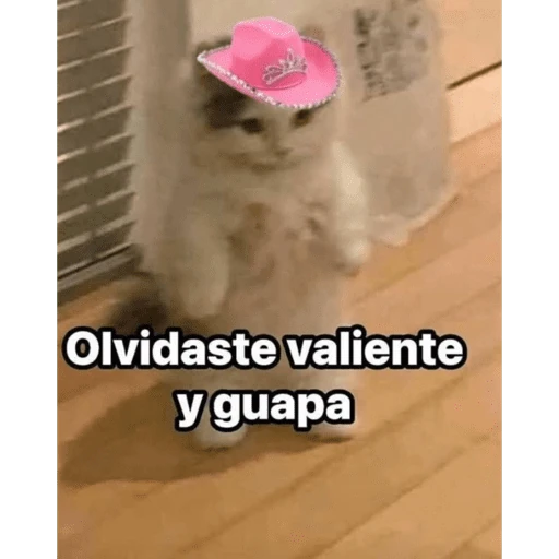 CHEC