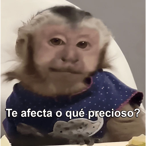 CHEC