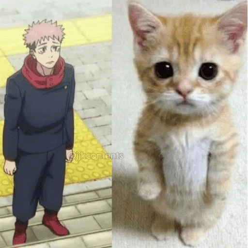 Jujutsu Kaisen ༉‧₊˚.