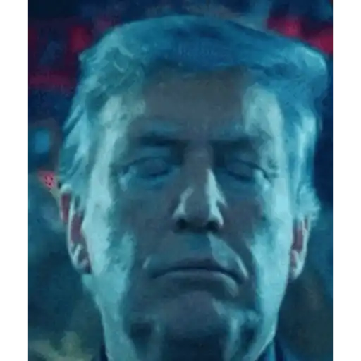 Go Trump 2