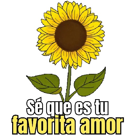 Flores amarillas 🌼🌻💐