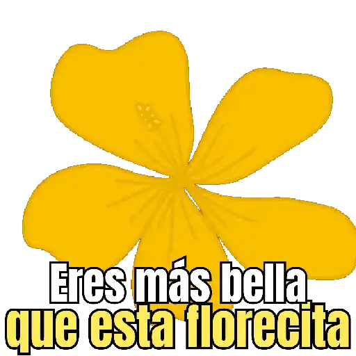Flores amarillas 🌼🌻💐