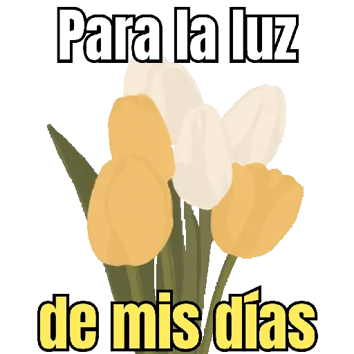 Flores amarillas 🌼🌻💐