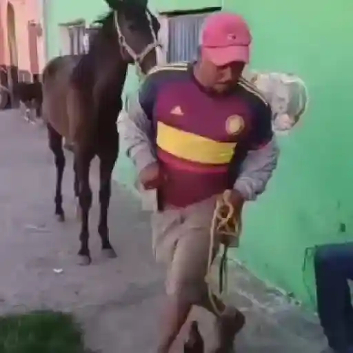 Bailes coquetos 🕺💃