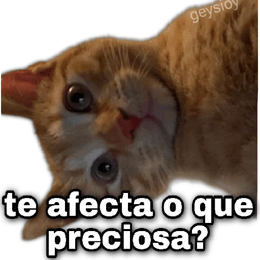 😘🪄 Coqueto Amor✨💖