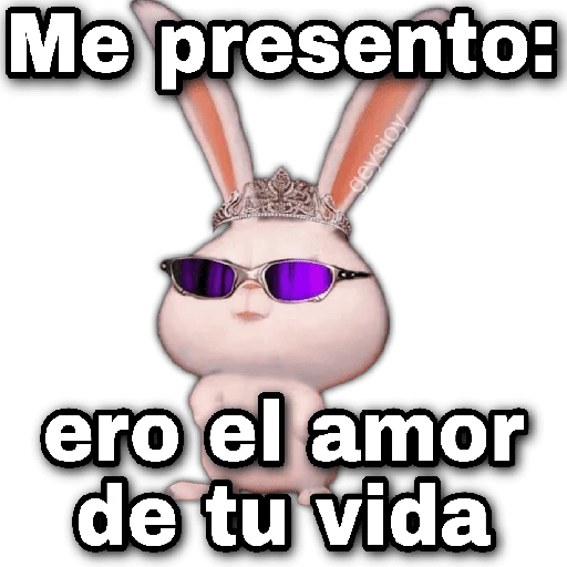 😘🪄 Coqueto Amor✨💖