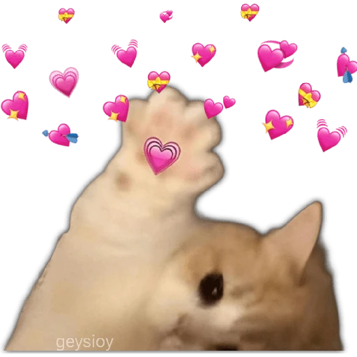 😘🪄 Coqueto Amor✨💖